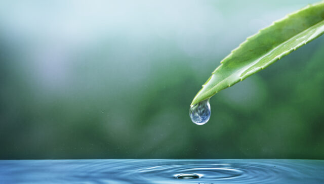 gestion durable de l'eau