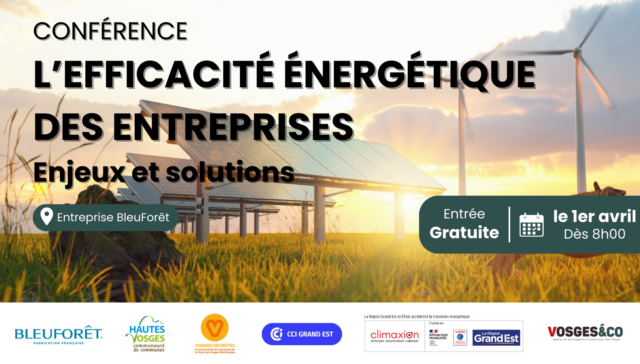 L'Efficacité energétique DES ENTREPRISES INDUSTRIELLES