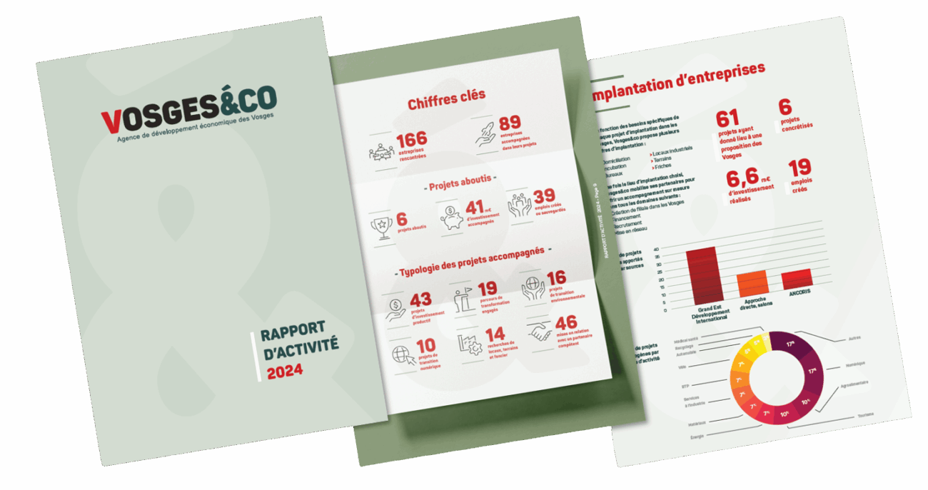 rapport d'activité Vosges&co 2024 agence de développement économique des Vosges