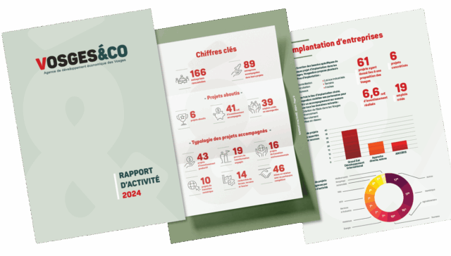 rapport d'activité Vosges&co 2024 agence de développement économique des Vosges