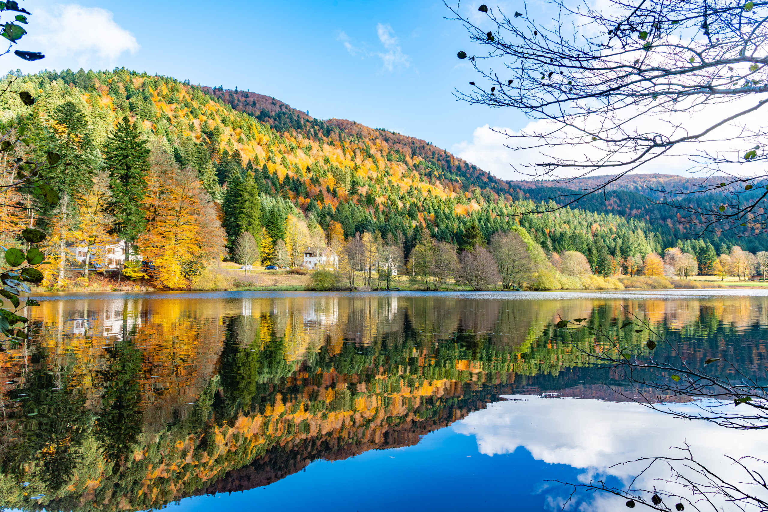 DSC_4641-Avec accentuation-Bruit